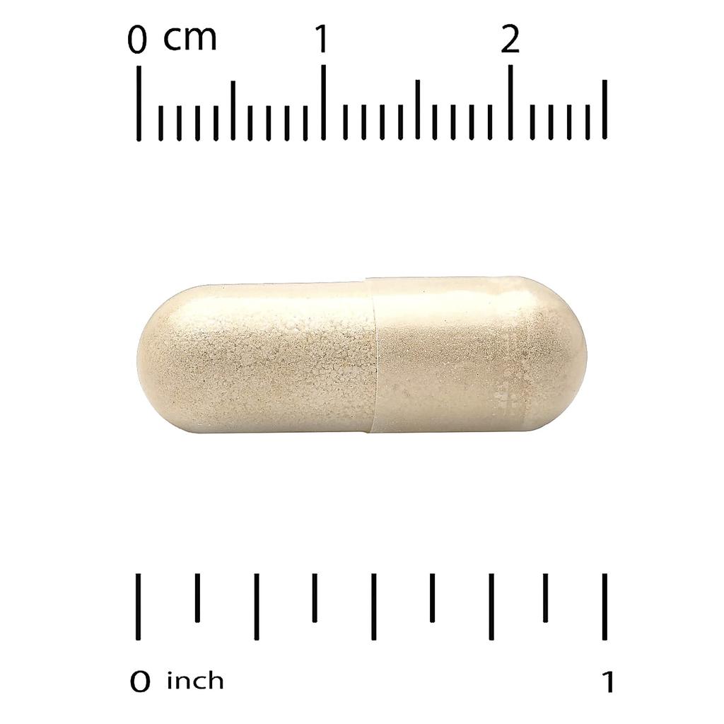 Organic Chaga Mushroom, 1G, 60 Veggie Caps (0.5G per Capsule)