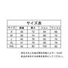 Frieren Cosplay Uniform Set Himmel Cosplay Costume with Wig Fancy Dress Stage Performance Outfit Everyday XL [COSIWO] Wear,