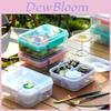 Portable Double Layer Bento Box With Dividers For Office Lunches And Picnics