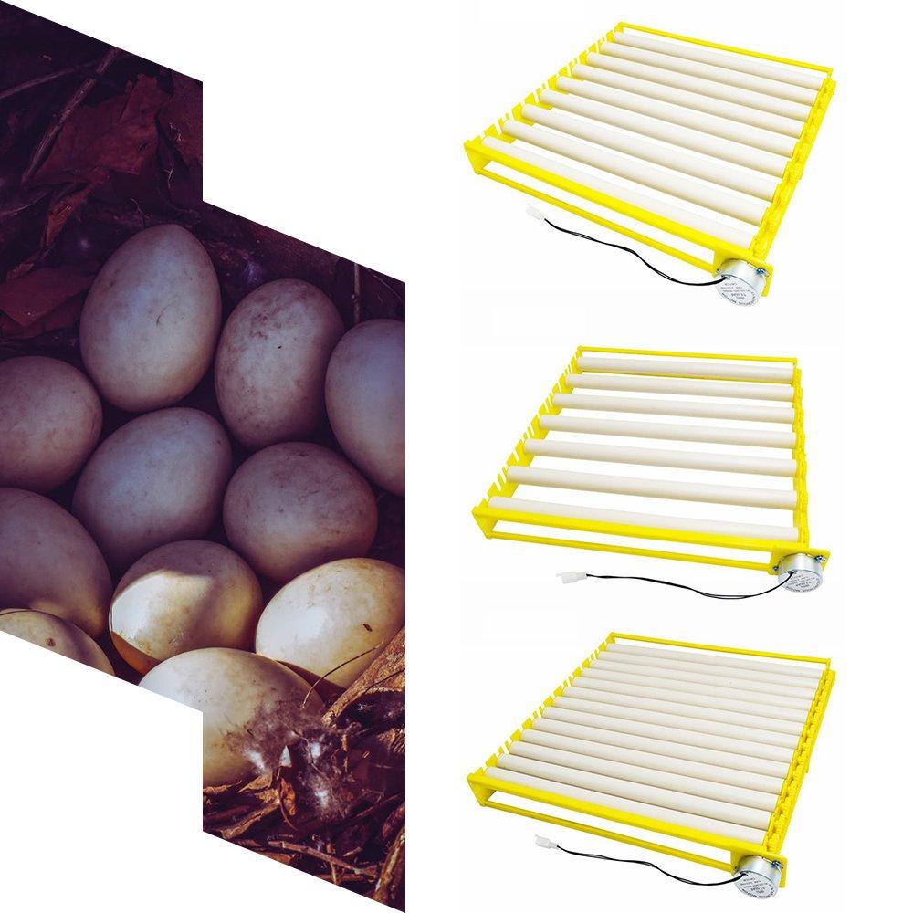 💰Vásárolj online Plastic Eggs Incubator Accessories Durable Rotary