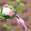 M-1Pcs Simulation Feather Birds Models Fake Foam Animal Artificial Birds DIY Wedding Home Garden Ornament Decoration Tree Decor