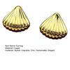 1 Pair Shell Earrings for Women, Chunky Vintage Ribbed Shell Shaped Earrings, Summer Beach Jewelry Gifts