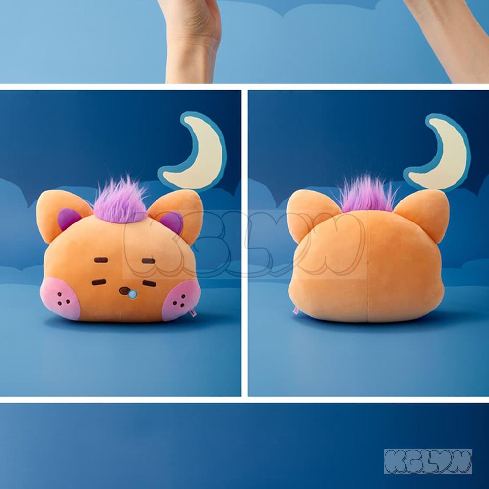 More Artist NCT WISH Wishnini House MEDIUM PLUSH CUSHION Version Select Official K-POP Goods