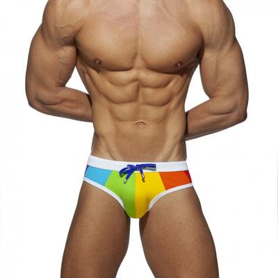 Pánske plavky Swim Briefs
