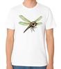 Süßes Libellen-Illustration T-Shirt Insekt Natur Kunst Unisex Tee
