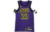 Basketball Jerseys Men's Purple Moderate Straight Fit AH6213-508