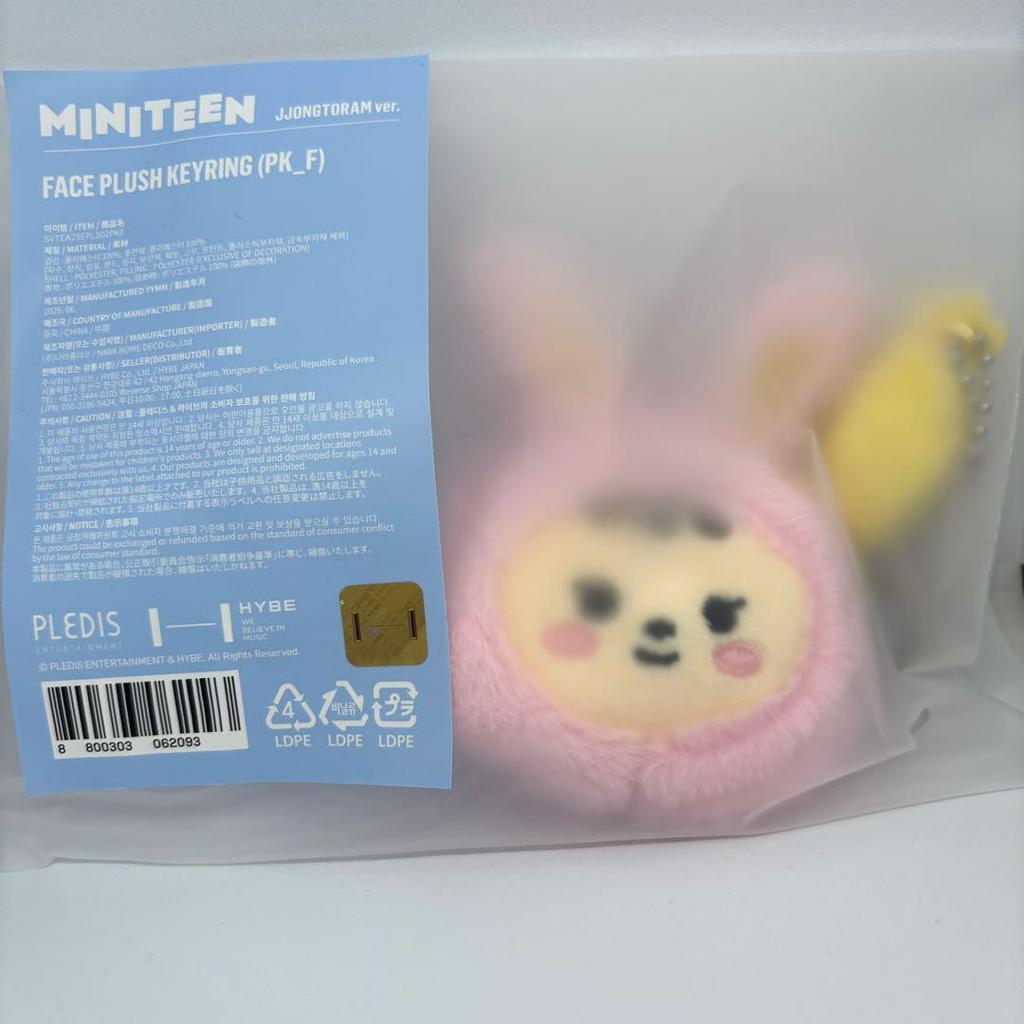 [USED] Miniteen Seventeen Seventeen Pop-up Keyring Jeonghan
