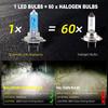 2pcs 6000k Super Bright White H7 Halogen Bulb 12V Car HeadLight Bulb h7 55w 100w Halogen Lamp Car HeadLight Replacement Bulb