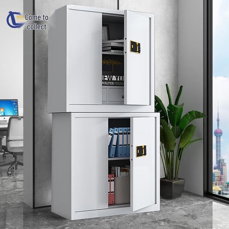 Laicai Secure Filing Cabinets & Safes