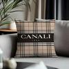 Hot CCcanalied Cushion Cover Antidustmite Pillowcase Invisible Zipper Silky Short Plush Sofa Cushion Cover