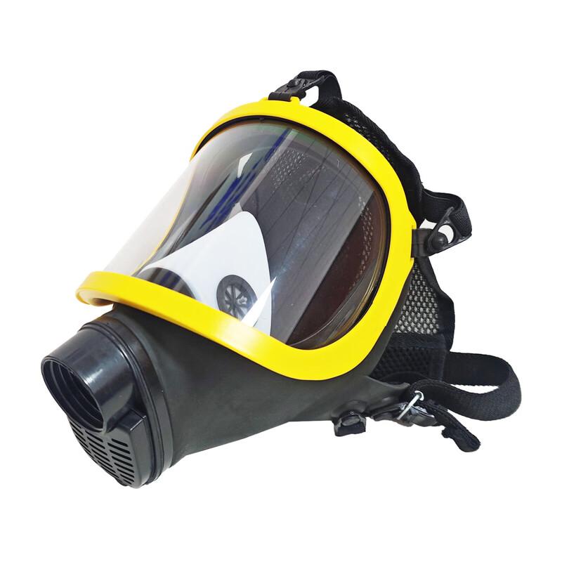 DAXTE Wide-View Respirator Mask
