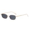 Trendy Small Square Sunglasses Woman Brand Designer Fashion Luxury Sunglasses  Women's Vintage Steampunk Metal Frame Eyewear