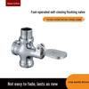 Self-Closing Foot Pedal Flush Valve for Squat Toilets