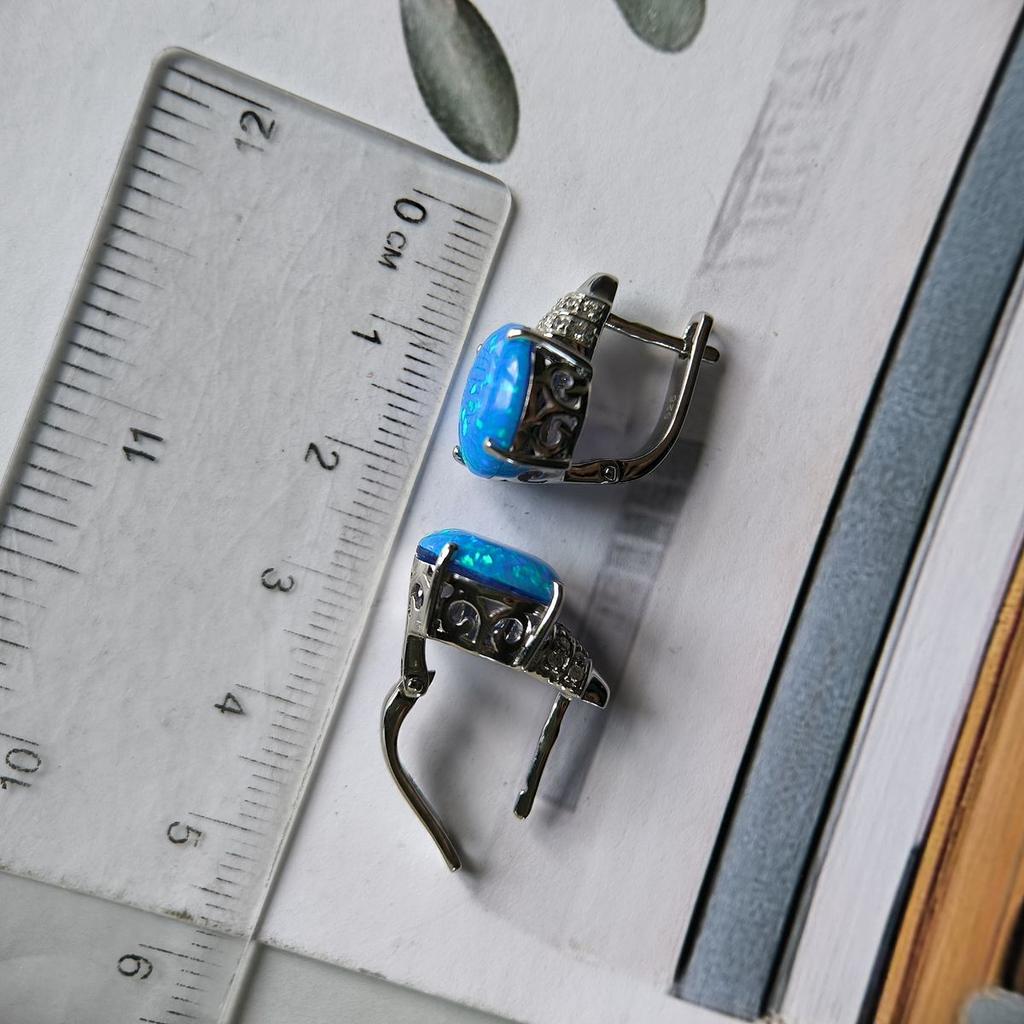 Серебряные серьги с опалом 4.012ct (2192336)