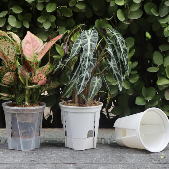 Samozavlažovací květináč Prodyšný průhledný plastový květináč pro Phalaenopsis Ovládání Automatický zásobník vody Květináč pro domácí kancelář