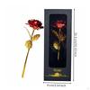 Foil Rose Never Wither Enduring Graceful Bloom Design Keepsake Item for Girlfriend, Women