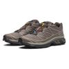 L47732600 XT-6 GORE-TEX Iron Etherea Seagrass (Men's)