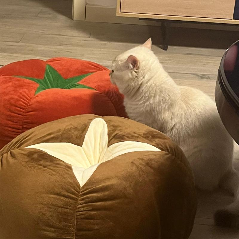 Creative Mushroom Tomatoes Persimmon Plush Pillow Sofa Bay Window Bedroom Tatami Bed Back Cushion Home Decor Cute Pillows