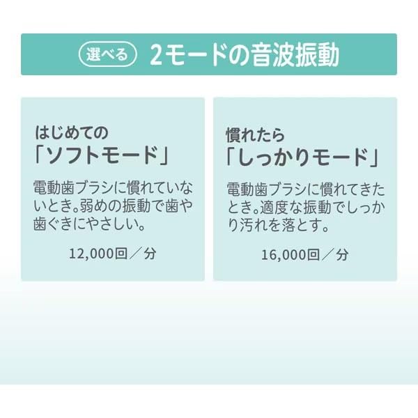 Pigeon Finishing Electric 2 Replacement Electric Set of 10 Kunutonn Original Logo Bonus First-time Toothbrush, Brushes, Toothbrush, +