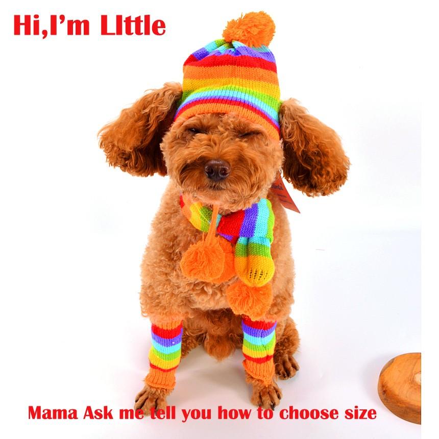 Accesorii pentru cățeluși de iarnă pentru animale de companie, pălării cu dungi tricotate, eșarfă șosete, animale mici, mici, mari, produse pentru pisici Yorkshire Chihuahua