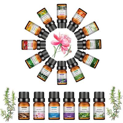 Water-Soluble Aromatherapy Essential Oil 10ML for Humidifiers
