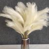 10ks/lot Faux Pampas Tráva Umelé trstiny Hodváb Nadýchané Pampy Kytice Kvetinové aranžmány Falošné rastliny pre domácu izbu Svadobná výzdoba (60 cm / 23,6 palca)
