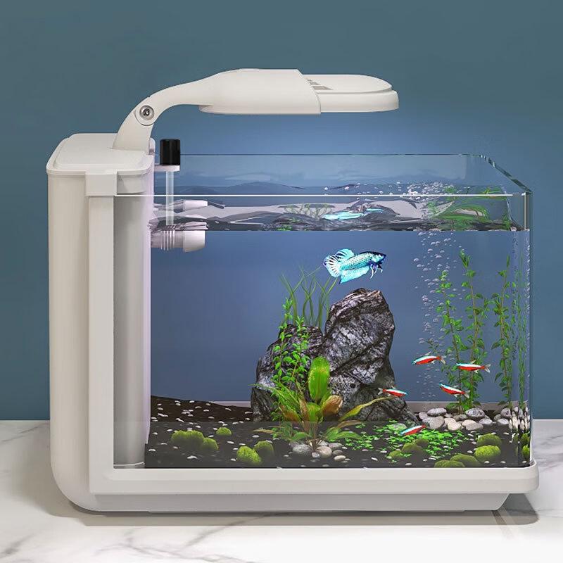 Sensen HD Glass Fish Tank with Side Filter