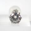 Pt900 Diamond 0.301 One earring / j23-3