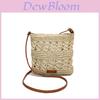 Simple Solid Color Casual Woven Shoulder Crossbody Bags For Summer Beach Vacation Casual Womens Purse