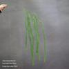 Asparagus Fern & Willow Buds Greenery for Wedding Decor & Landscaping