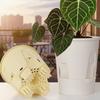 Plastic Self Absorbing Flowerpot Water Storage Thickened Hydroponic Flowerpot Tall Drain Holes Large Capacity Lazy Flowerpot