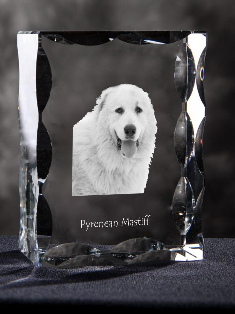Pyrenean Mastiff, Mastín Del Pirineo - Crystal with a Picture of a Dog, Glass Statuette with a Picture, Unique Frame with a Picture from Art-Dog Brand