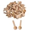 2PCS Mini Wooden Spoons Kitchen Spice Spoon Small Short Condiment Spoons