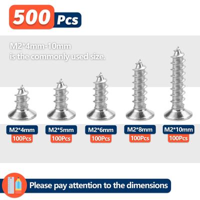 Kit assortimento di viti autofilettanti M2 Phillips da 500 pezzi, viti per legno autoperforanti a testa piatta con testa a croce in lega di acciaio, fai da te, 5 misure