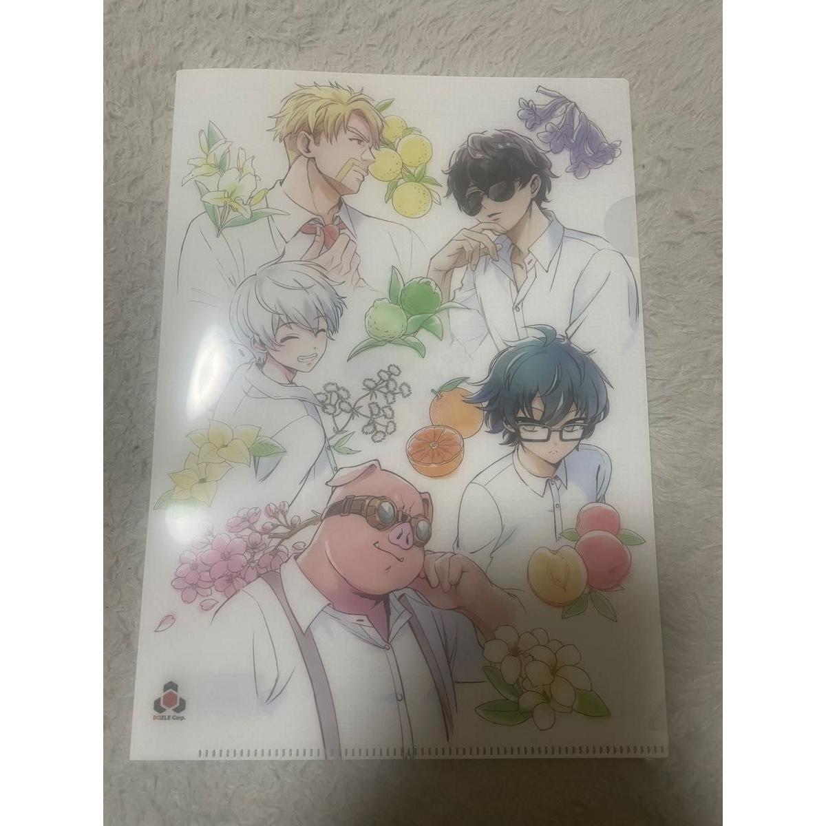 Used Dozle Clear File Fragrance Original Clear File