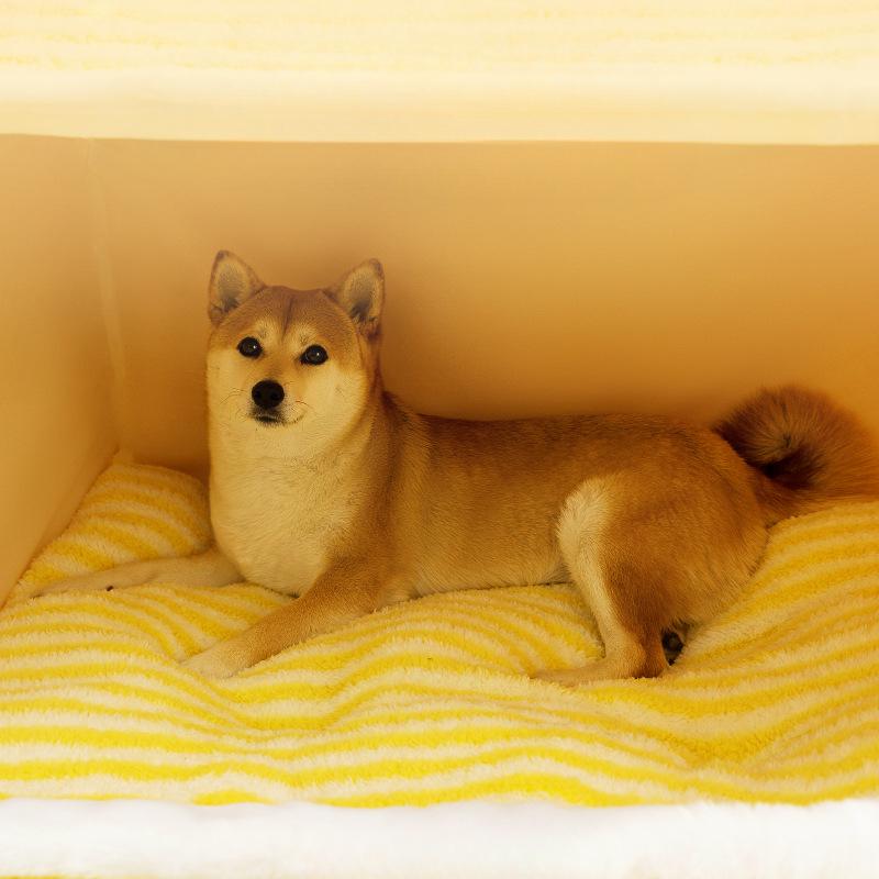 Autumn and Winter Dogs Small Dogs  Golden Retrievers Big Dogs Big-eared Cute Pet Kennels Deep Sleep Cat Houses  Yurt Pet Houses