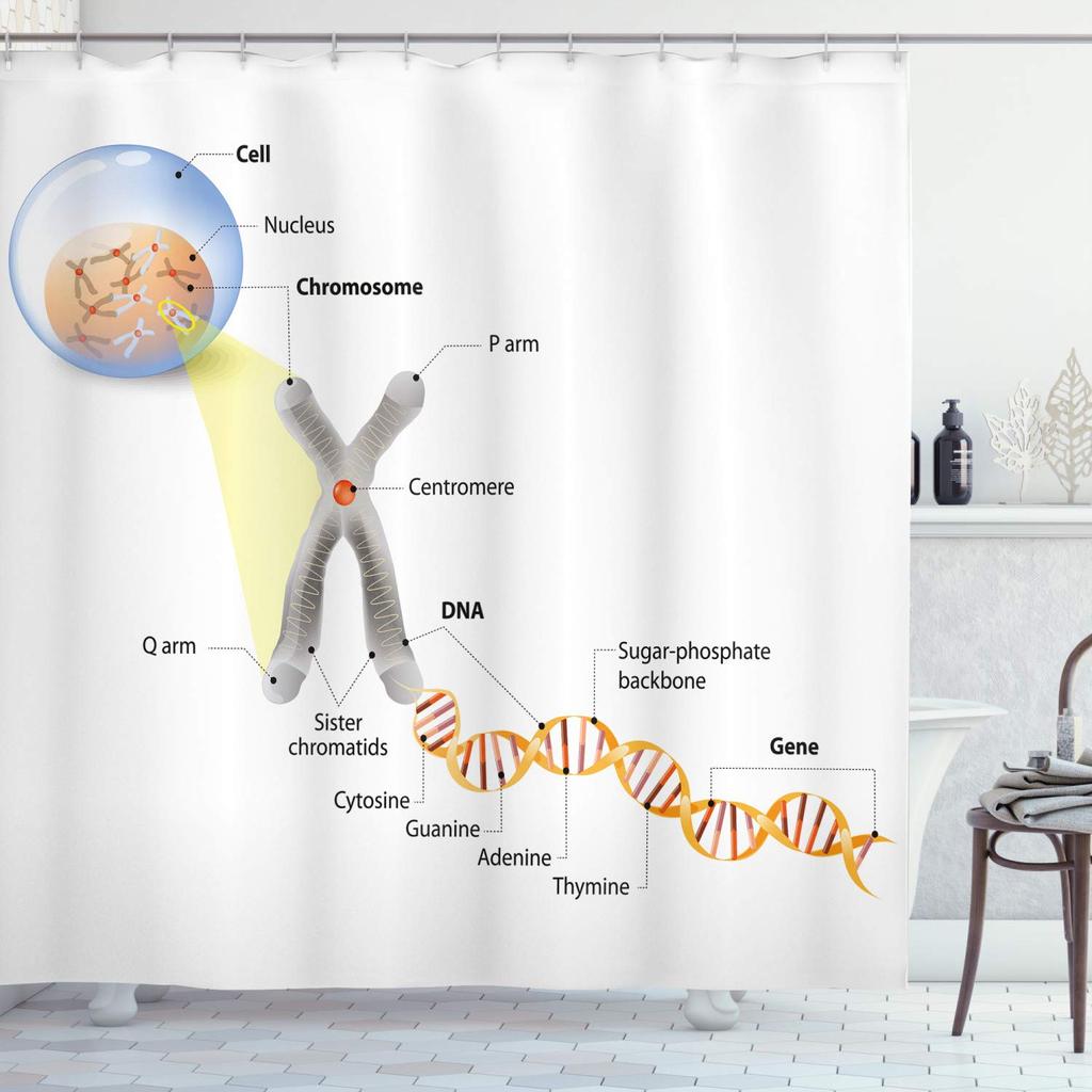 Menschlicher Körper Duschvorhang Illustration Badezimmer Dekor, Wissenschaft Menschliche Anatomie Duschvorhänge, Skelett Schädel Stoff Badezimmer Set