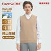 Caiyang 100% Pure Cashmere V-Neck Men's Vest