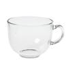 Shangqi Transparent Glass Mug Set with Handle