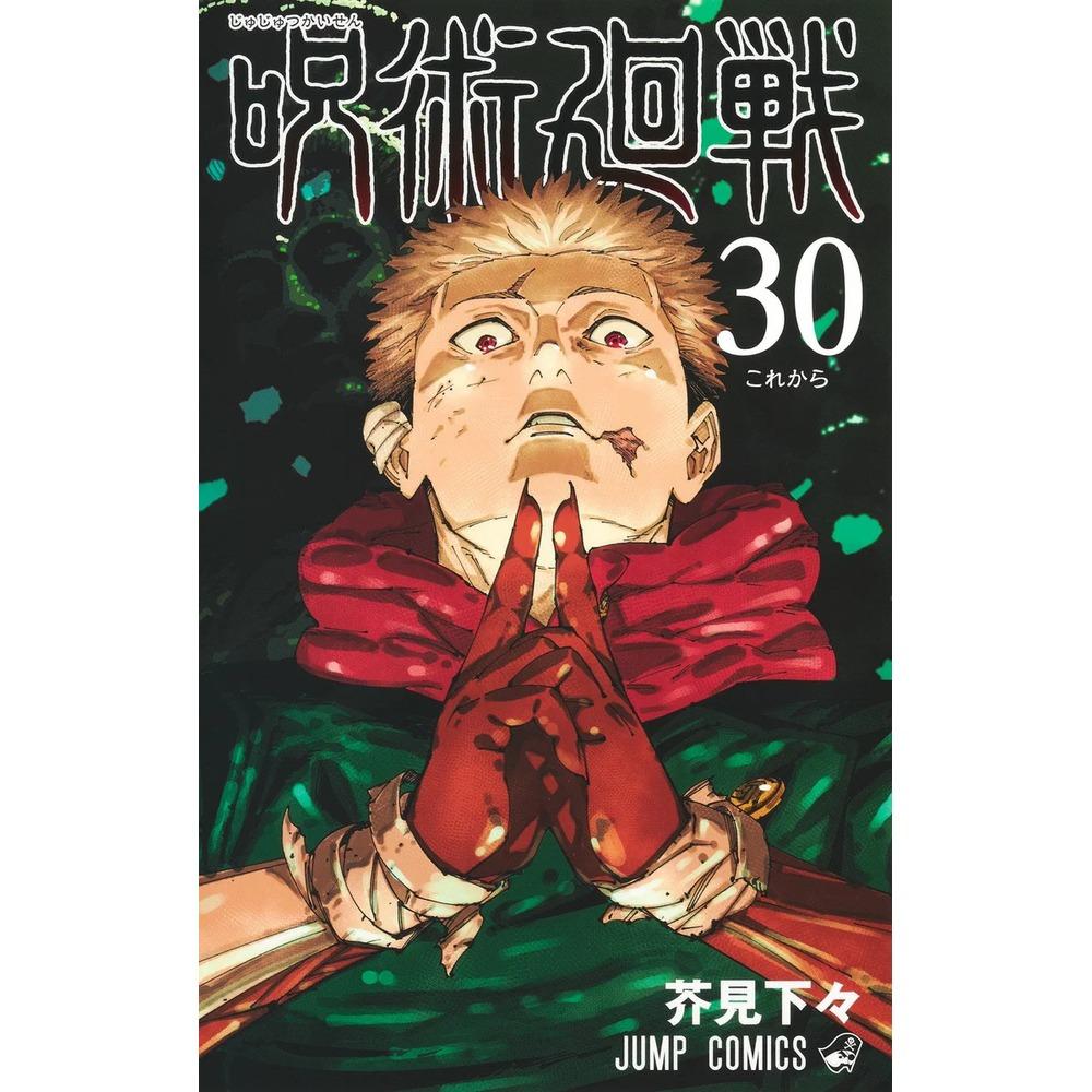 Jujutsu Kaisen 30 (Jump Comics) Gege Akutami