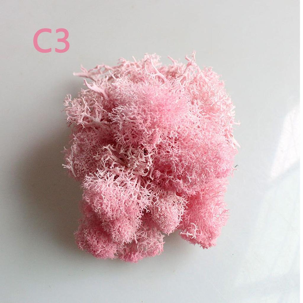 Colorful DIY Wedding Flower Home Decor Christmas Artificial plant Micro Landscape Eternal Life Moss Reindeer Moss