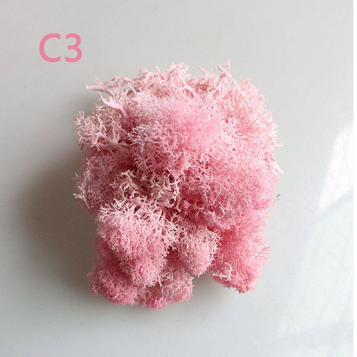 Flower Decoration Christmas Artificial plant Micro Landscape Reindeer Moss Eternal Life Moss C3