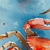 Turquoise & Red Crab Shower Curtain - 71X71 Inch, Includes 12 Hooks, Durable Polyester, Perfect For Bathroom & Summer Home Decor