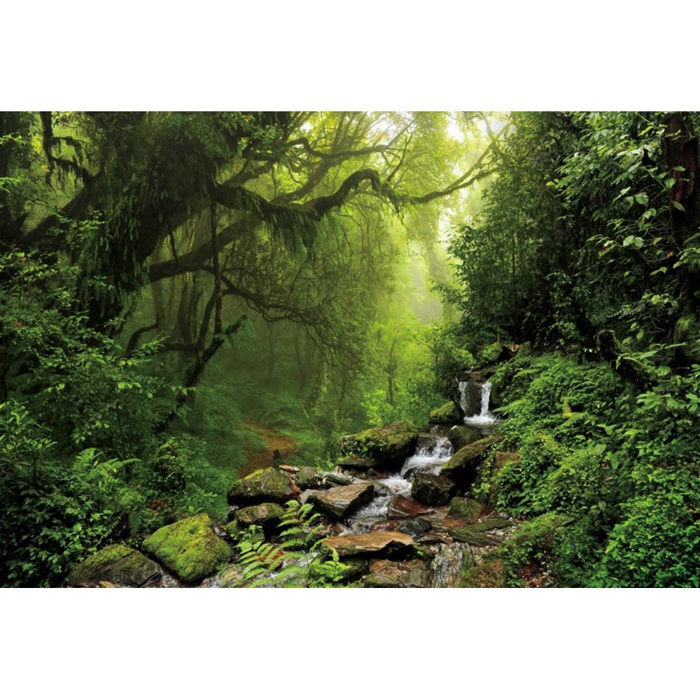Spring Forest Backdrop Tropical Jungle Rainforest Backdrops for Photography Camping Adventure Birthday Background Photo Studio