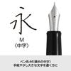 PILOT Custom Heritage 912 Fountain Pen, Medium (Firm Medium) Nib, Black, FKVH2MRBM