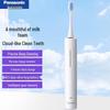 Panasonic Schallzahnbürste