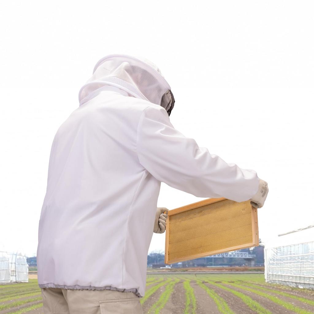 Dick Corporation Offisielt Beskyttende Bieholdingsdrakt Laget i og Mesh Bie Mygg Insekt Bieholdingsbeskyttelse Biebeskyttelse Hagearbeid Arbeidsdrakt, Mesh,