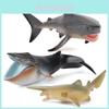 Childrens Marine Animal Pvc Model Set With Realistic Sharks And Whales For Educational Play