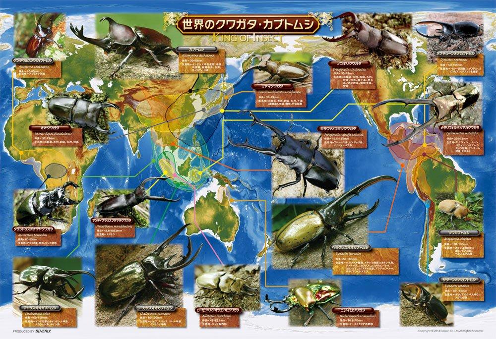 

150-Piece Jigsaw Puzzle: Insects of the World - Stag Beetles and Rhinoceros Beetles, Large Pieces (26x38cm)
