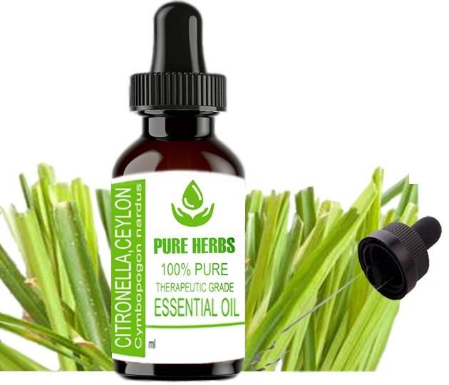 Pure Herbs Citronella Ceylon 100% Pure Cymbopogon Nardus Essential Oil ZA 307